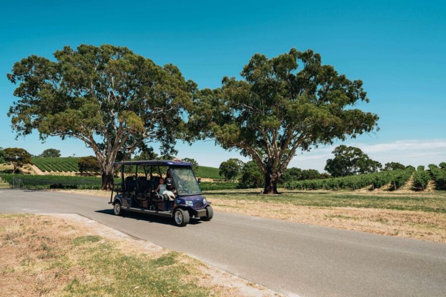 Barossa Valley: Ecovine Explorer – E-Cart Vineyard Tour