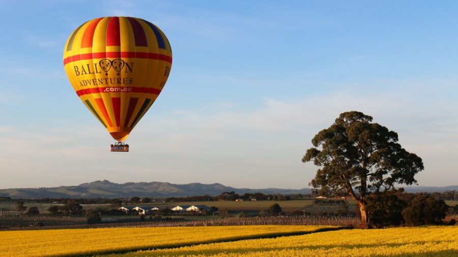 Barossa Valley: Hot Air Balloon Flight - Balloon Ascent and Flight