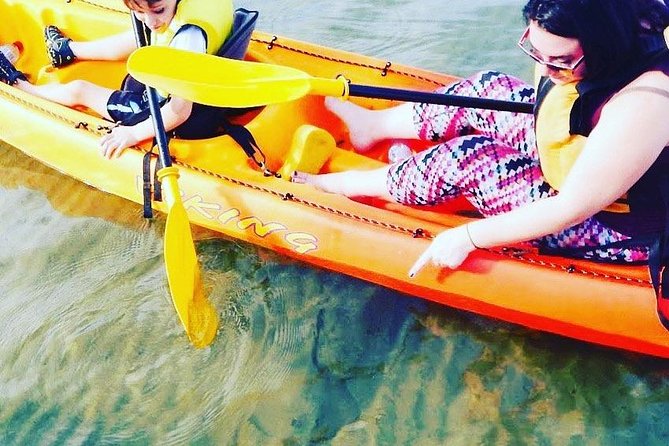 6 Best Canoe And Kayak Experiences In Batemans Bay