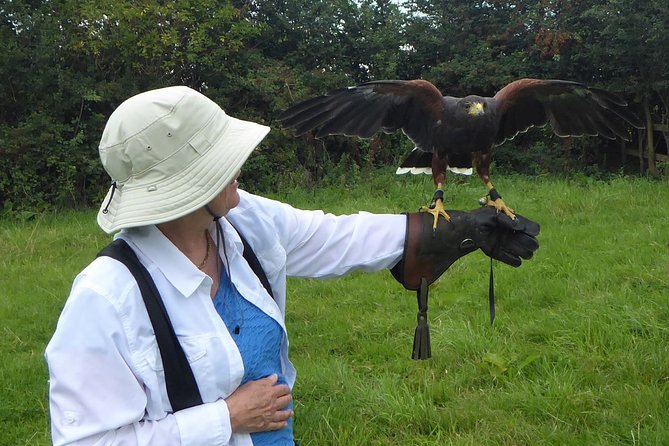 Bath City Tour & Fly a Hawk Experience – Day Tour From Bath