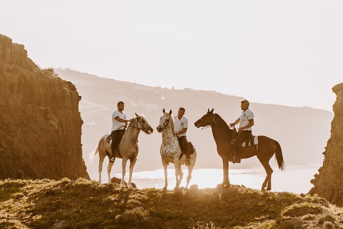 Beach Gallop - Horse Riding Safari for Experienced Riders - Tour Overview