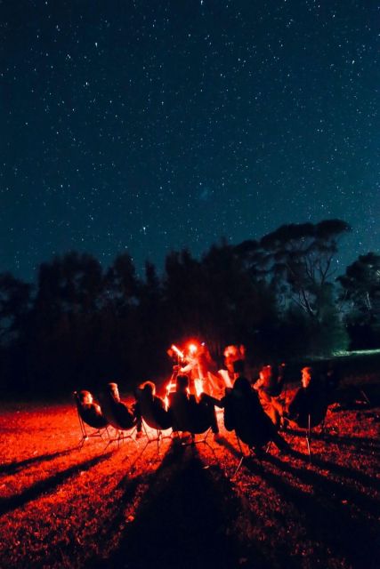 Beach Stargazing With an Astrophysicist in Jervis Bay - Activity Overview