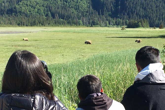 Bear Viewing Excursion and Airplane Adventure Tour