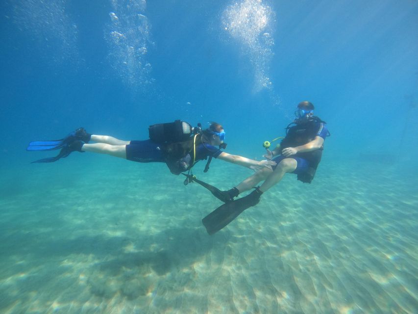Beginner Scuba Dive With Scubapoint Tenerife in Turtle Area