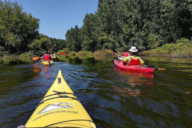 4 Best Canoe And Kayak Experiences In Belgrade