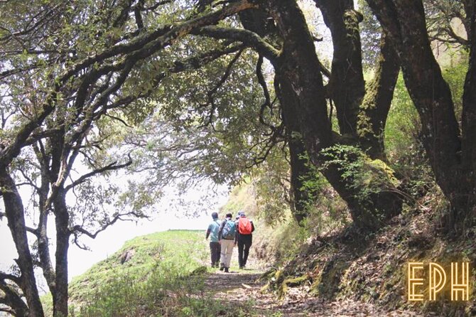 Benog Tibba Day Hike – Mussoorie