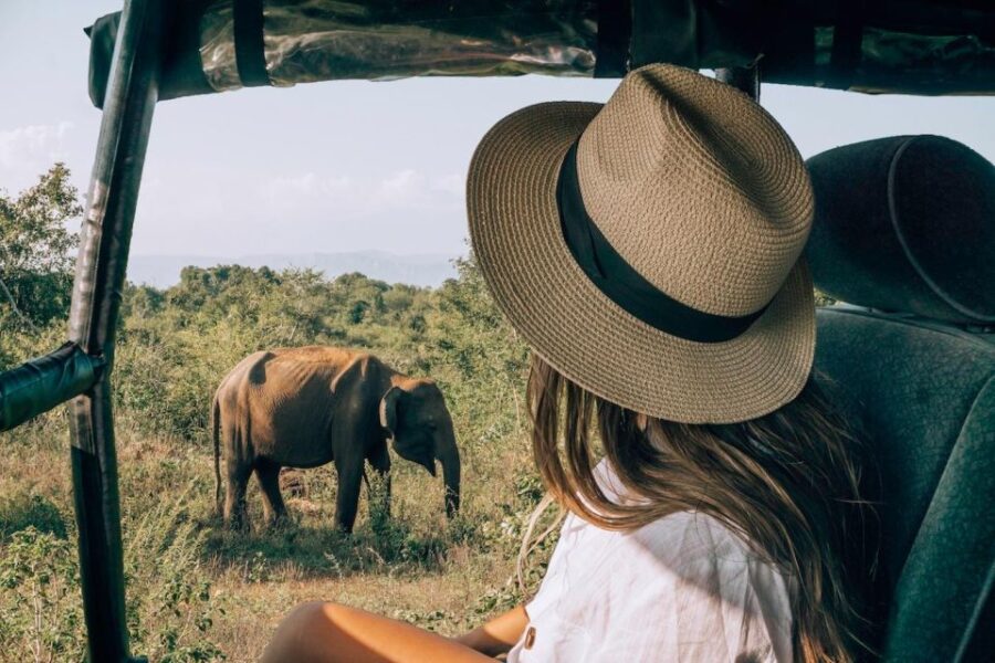 8 Best Tours In Udawalawe Elephant Transit Home
