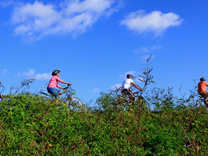 Bentota Bliss: Countryside Cycling Escape - Tour Overview