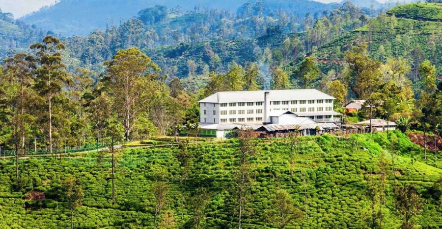 Bentota/Kalutara/Hikkaduwa: Day Trip to Ella Highlands - Destinations and Duration