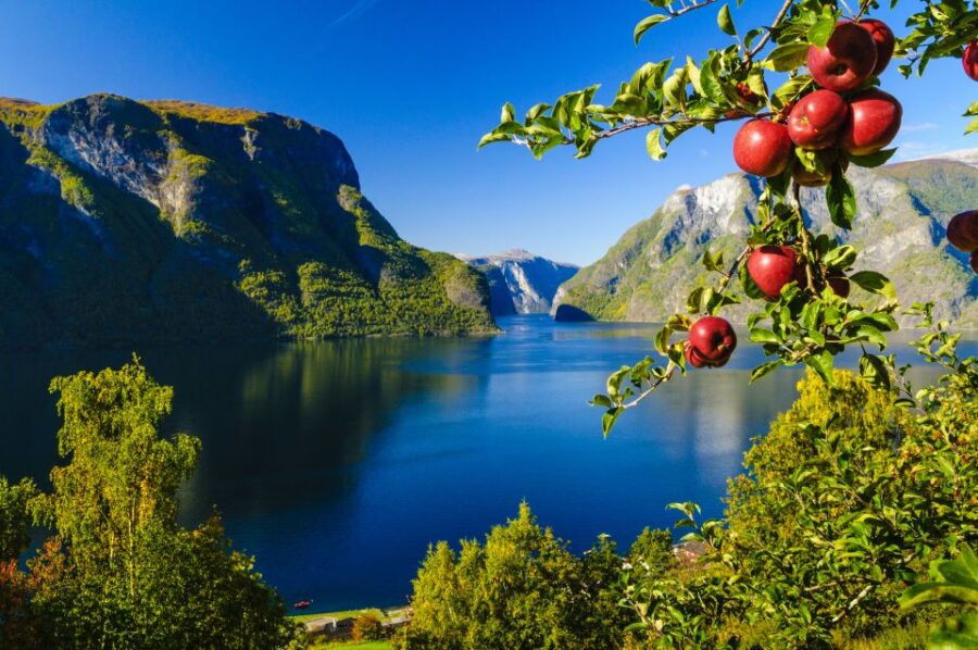 Bergen: Guided Day Tour, Nærøyfjord Cruise and Flåm Railway