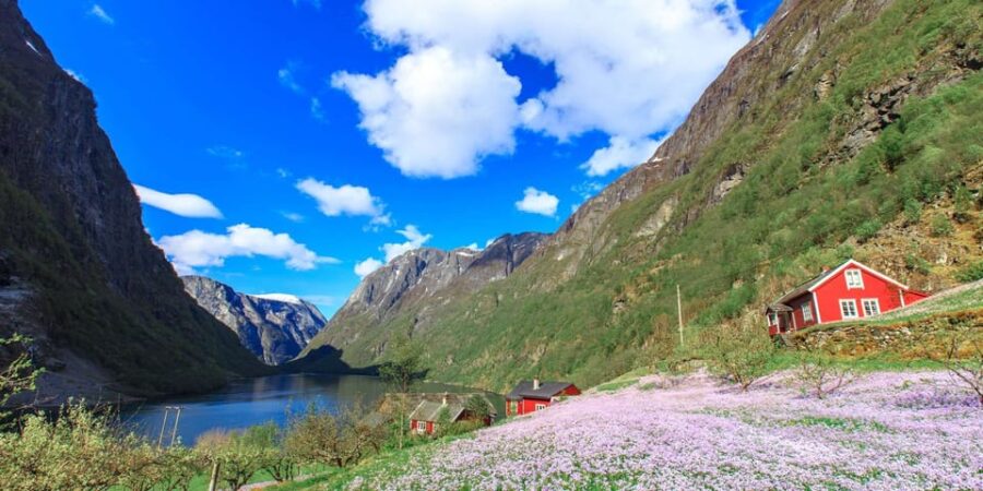 Bergen: Nærøyfjord, Flåm, and Stegastein Guided Bus Tour