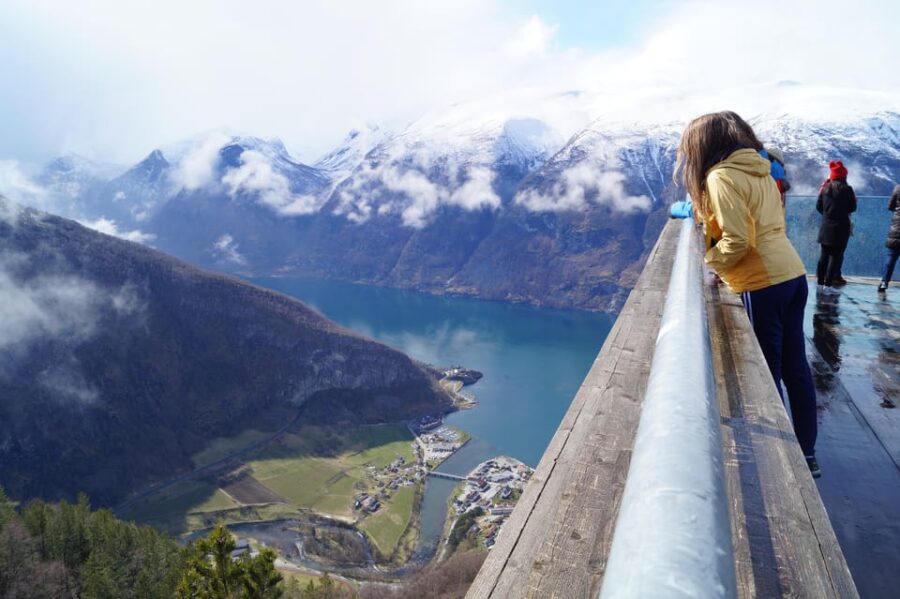 Bergen: Stegastein, Sognefjorden, Tvinnefossen and Flåm Trip - Trip Overview and Pricing