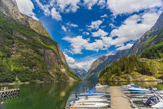 Bergen to Sognefjord Private Roudtrip With Cruise and Flasmbana