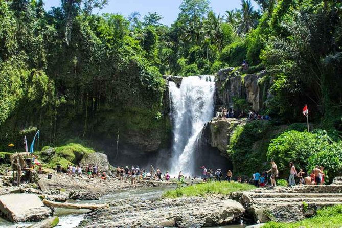 Best of Bali Tour - All Inclusive - Pickup and Drop-off