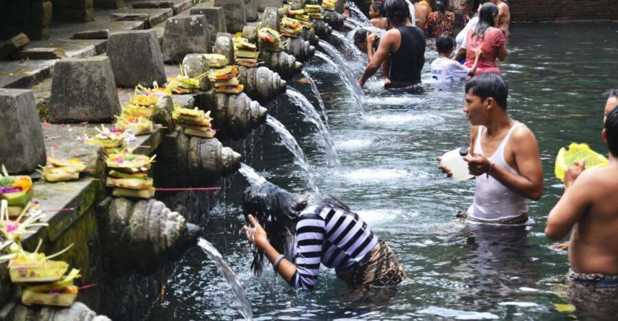 Best of Central Bali: Waterfall, Elephant Cave & Rice Fields