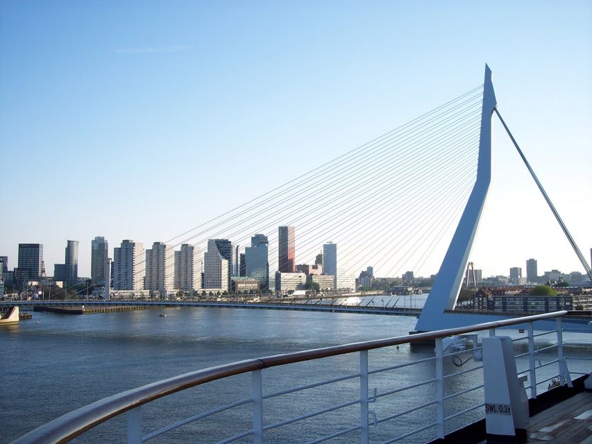 Best of Rotterdam: Small-Group Walking Tour