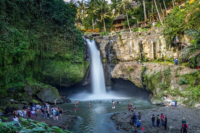 Best of Ubud 1-Day Private Tour - Tour Overview