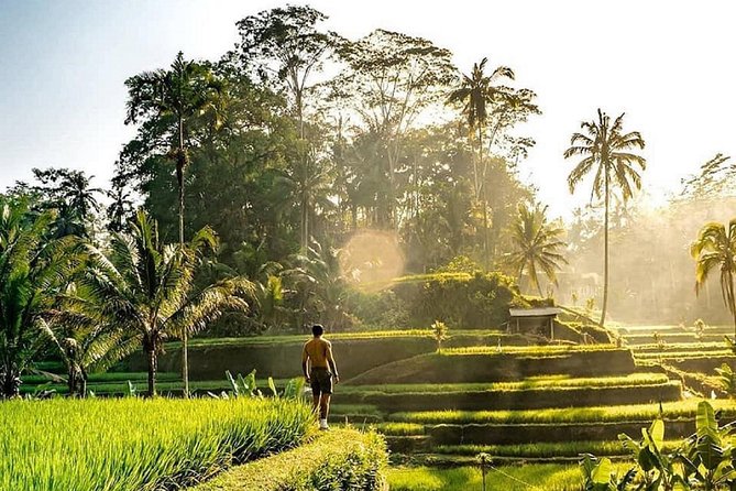 Best of Ubud - Full Day Tour + FREE WI-FI