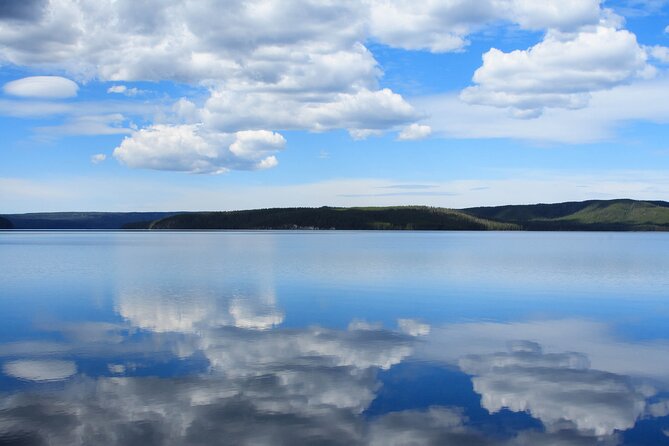 Best of Yellowstone National Park From Gardiner - Private Tour