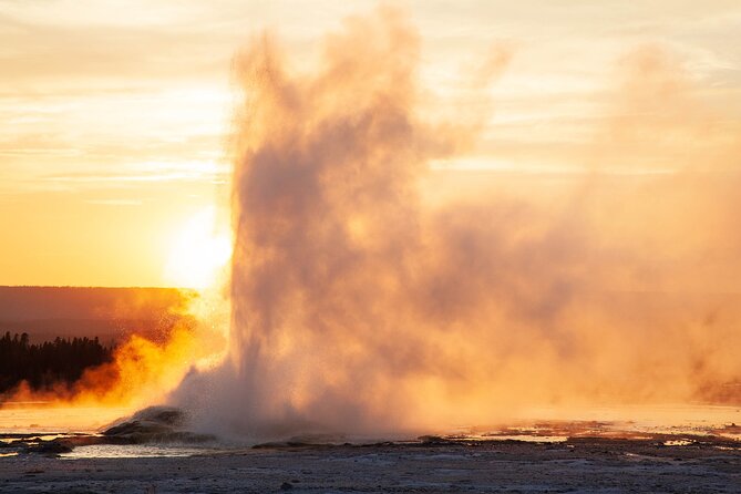 Best of Yellowstone Natl Park Tour From Paradise Valley