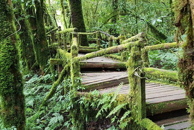 Best Seller! Doi Inthanon National Park Oneday Tour With the Highest Point