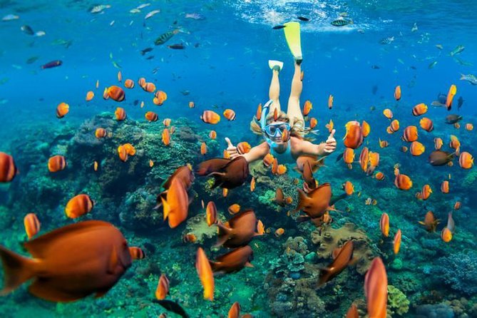 Best Snorkeling Trip at Blue Lagoon Bali - Overview of the Tour