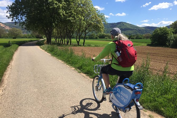 Bicycle Tour From Heidelberg to Quaint Ladenburg.