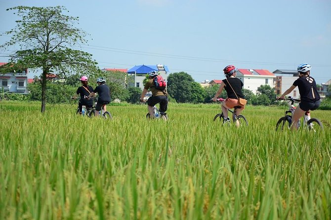 Bicycle Tours Hanoi: Full Day Bicycle Tours City & Countryside - Overview of the Tour