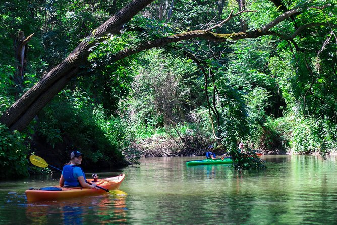 Big Creek Kayak Tour