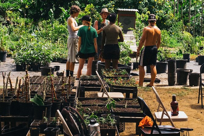 Big Island Farms Tour in Hawaii