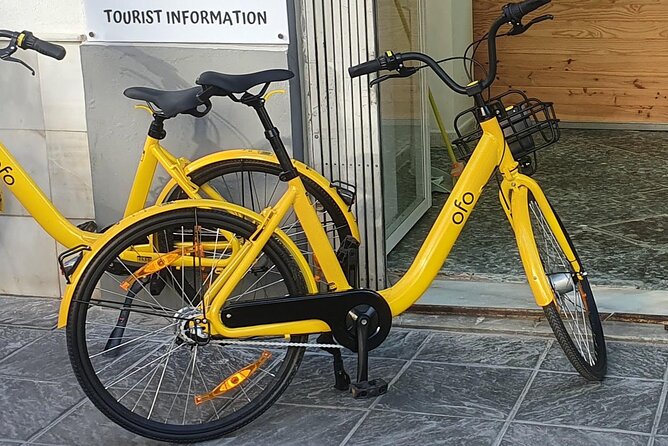 Bike Rental per Day in Seville