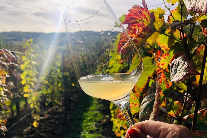 Bike & Wine Tour in Dealu Mare Wineland - Tour Overview