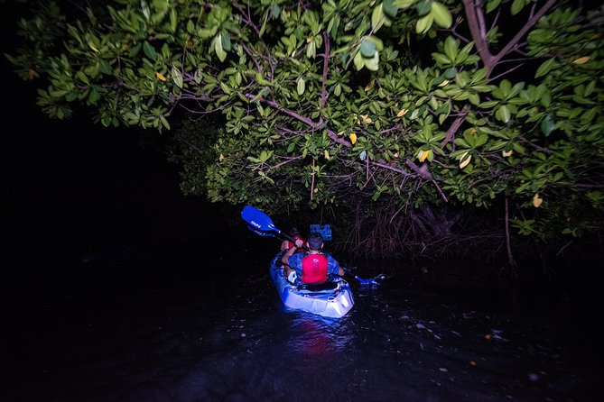 Bioluminescent Bay Kayak Adventure From San Juan