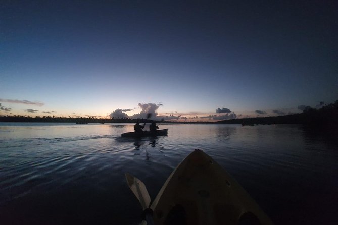 Bioluminescent Bay Night Kayaking | 7:30pm