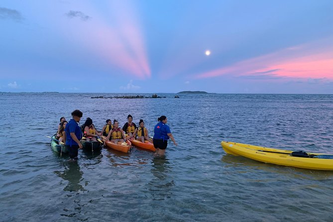 Bioluminescent Bay Night Kayaking, Laguna Grande, Fajardo - Guided Tour Experience