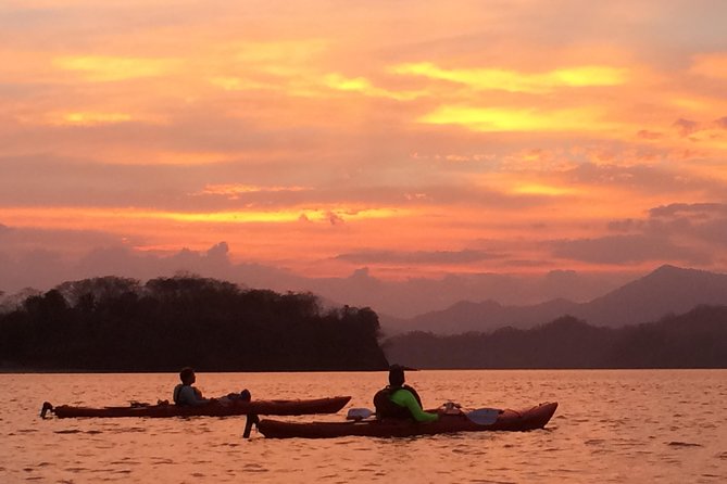 Bioluminescent Kayak Tour