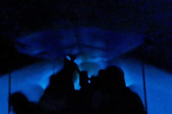 Bioluminescent Night Tour - Captivating Night Tour