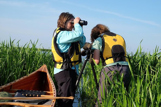 BIRDWATCH – Premium Guided Canoe Tour at Cape Vente, Nemunas Delta Regional Park