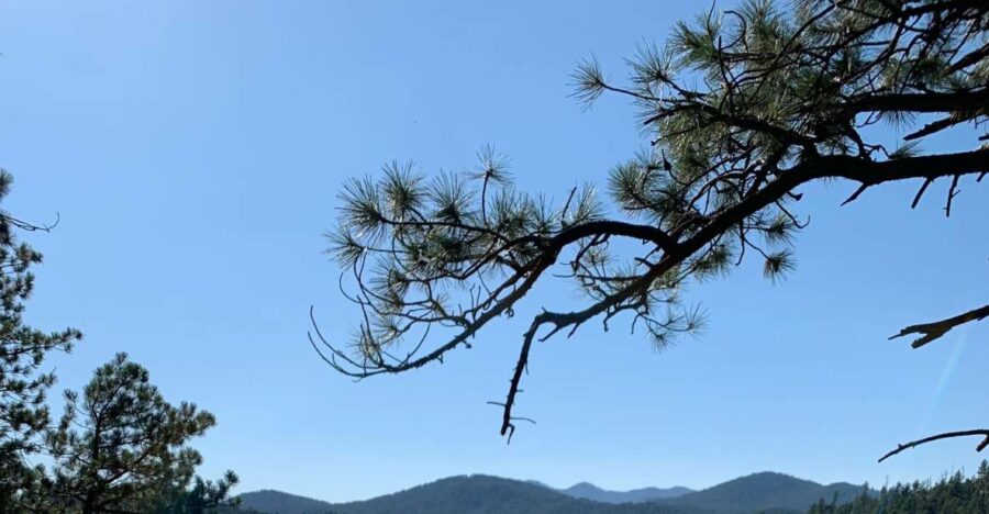 Black Hills: Private Tour of Mt. Rushmore & Flume Trail Hike