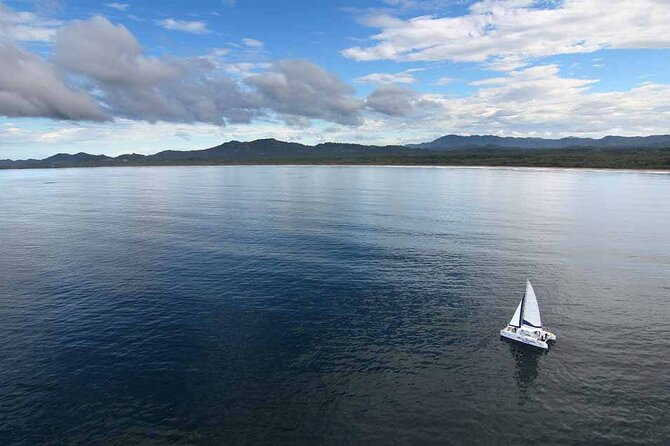 2 Best Dolphin Watching Tours In Tamarindo