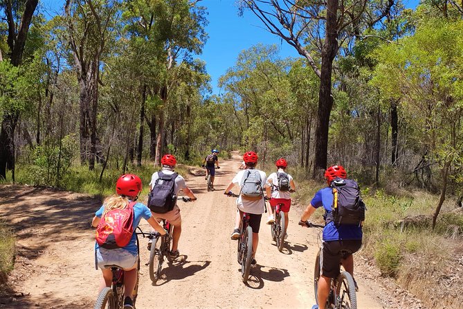 2 Best Bike Tours In Blue Mountains