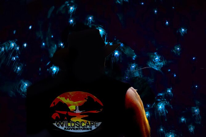 Blue Mountains Hiking Glow Worms Cave Wildlife Spotlighting Night Adventure - Tour Overview