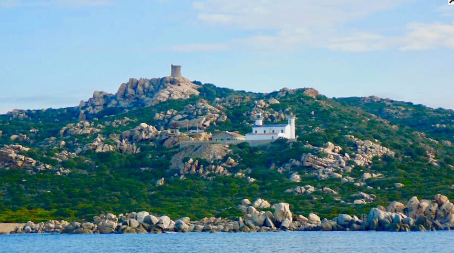 Boat Day: Beaches, Coves, Wild Calanques