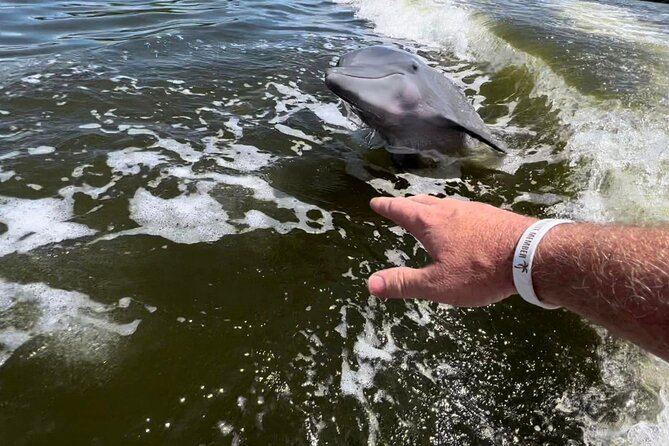Boat Ride in 10,000 Islands + Biologist Led Walk in the Everglades Small Group