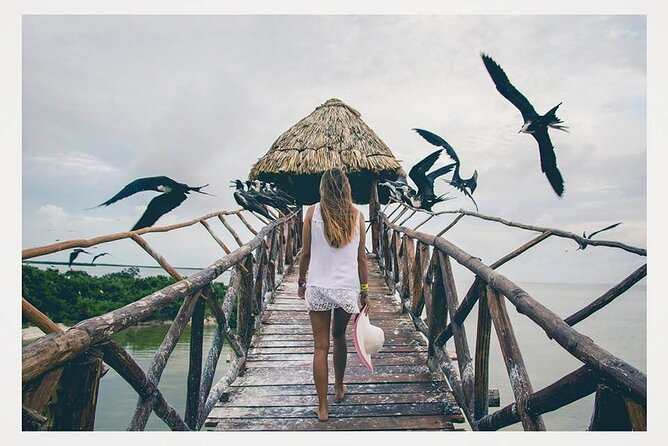 Boat Tour of Three Islands in Holbox With Transportation
