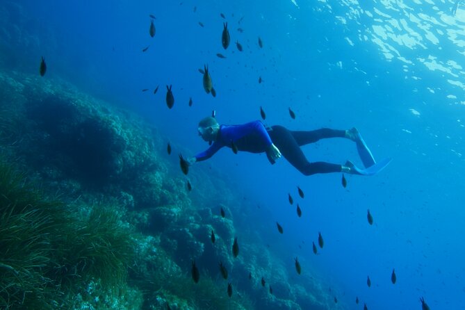 Boat Trip and Snorkeling in Villefranche-Sur-Mer