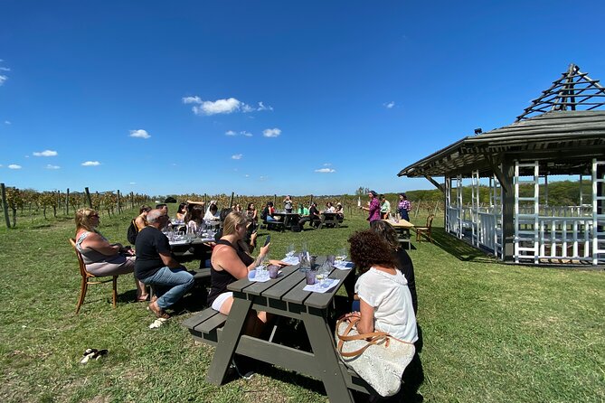 Bodega Gamboa Small-Group Wine Tasting Tour With Lunch - Tour Overview
