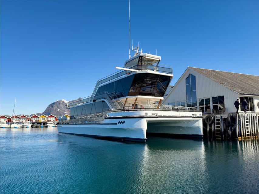 Bodø: Kjerringøy & Nordfjord Cruise