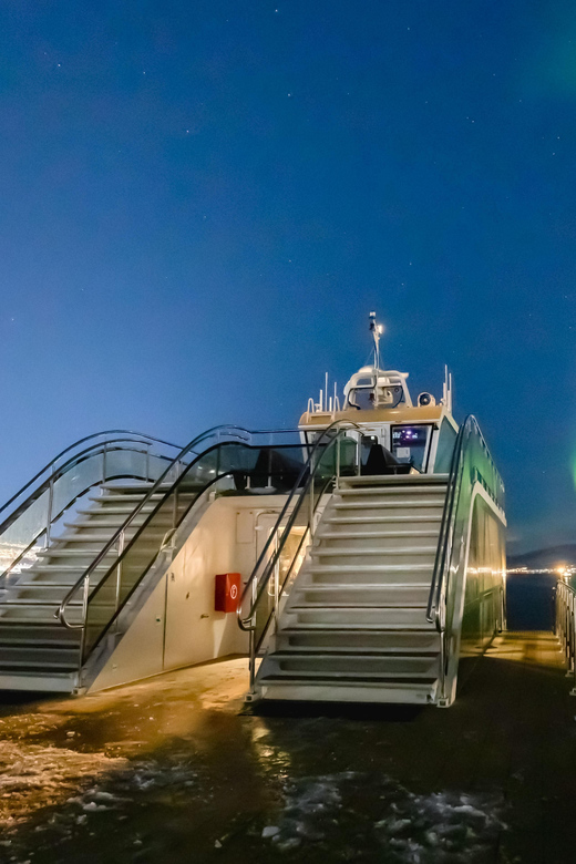 4 Best Cruises And Boat Tours In Bodo