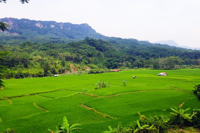 Bogor Botanical Garden, Waterfall, Mountain Springs & Rice Field - Tour Overview and Highlights
